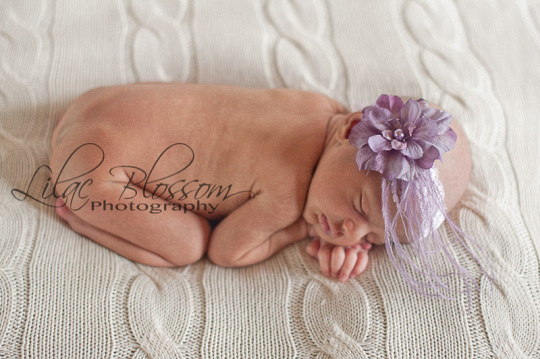 ©2013 Lilac Blossom Photography-13