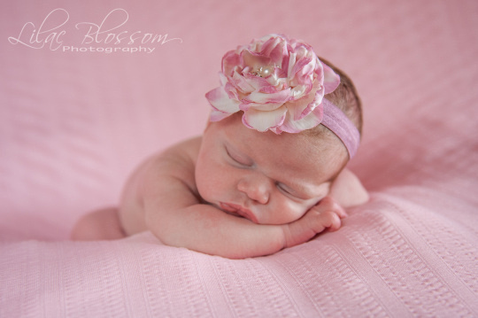 ©2013 Lilac Blossom Photography-30