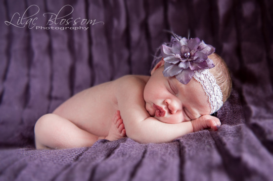 ©2013 Lilac Blossom Photography-19